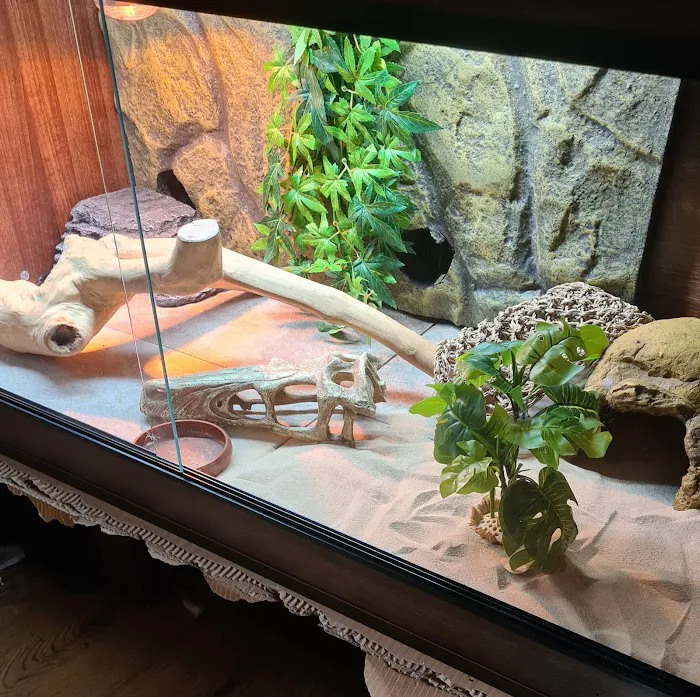 Repti-Life Picture 7