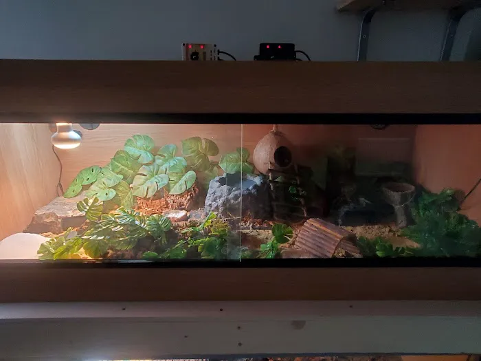 Repti-Life Picture 10