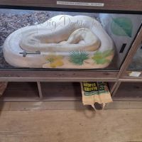 The Creature Cabin ico