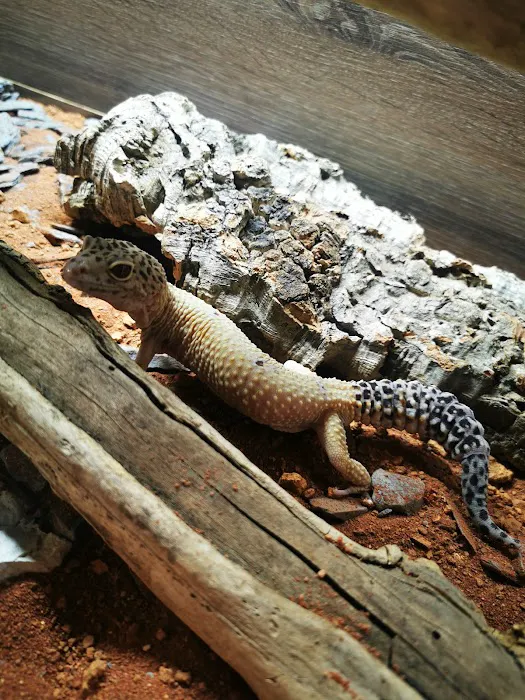 The Creature Cabin Picture 2