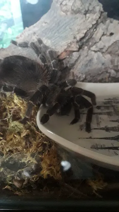 The Creature Cabin Picture 4