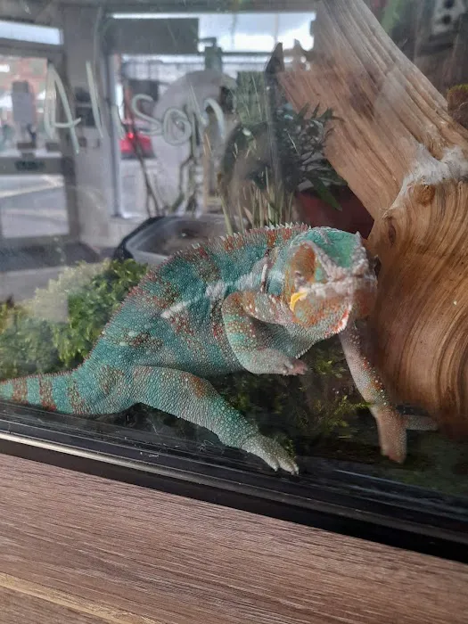 The Creature Cabin Picture 7