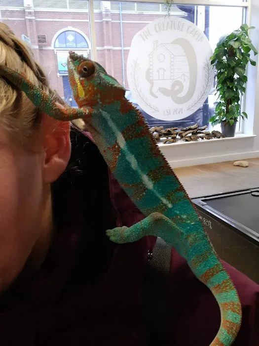 The Creature Cabin Picture 10