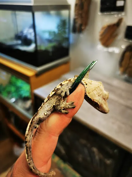 The Creature Cabin Picture 8