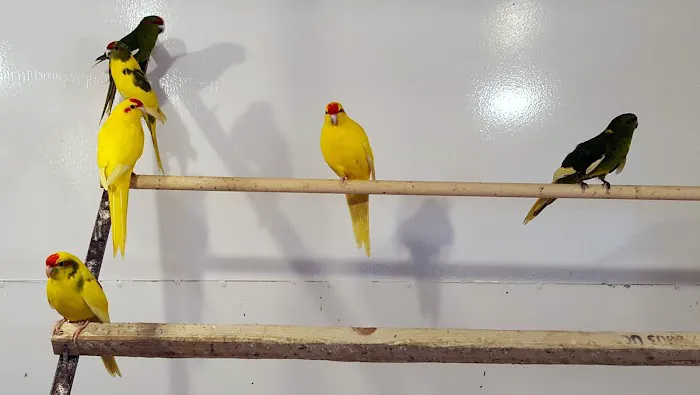 Smiths Nurseries Picture 4