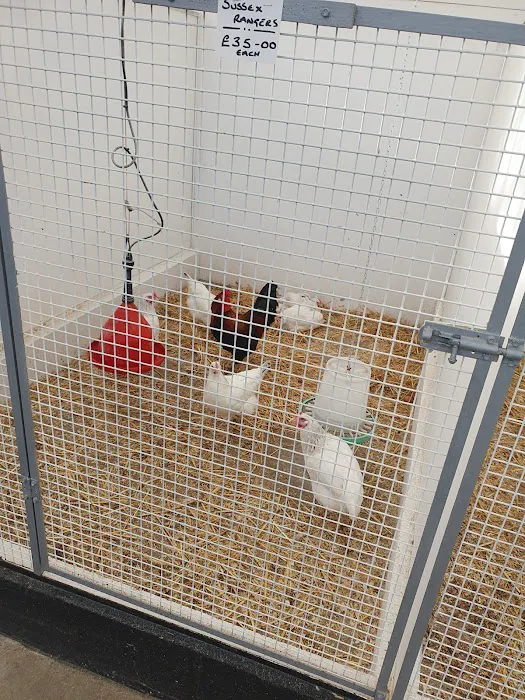 Smiths Nurseries Picture 5