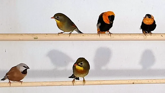 Smiths Nurseries Picture 8