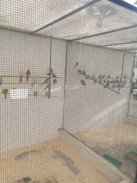 Smiths Nurseries Picture 7