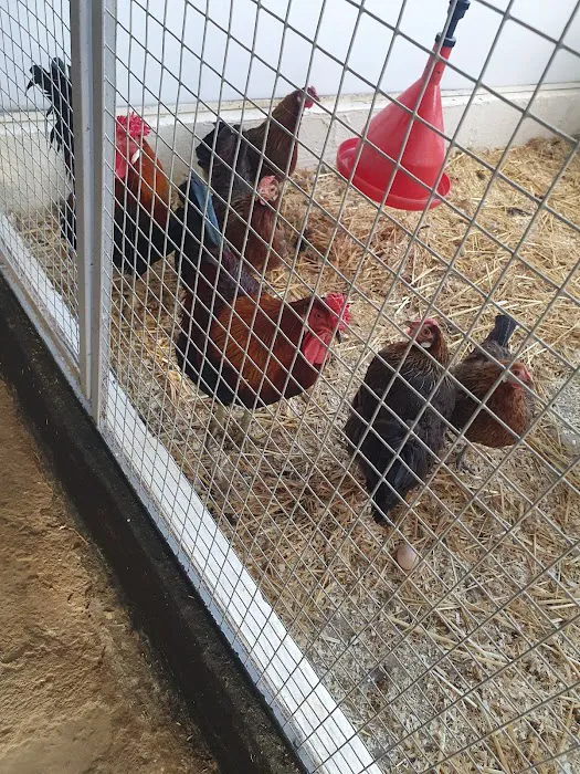 Smiths Nurseries Picture 9