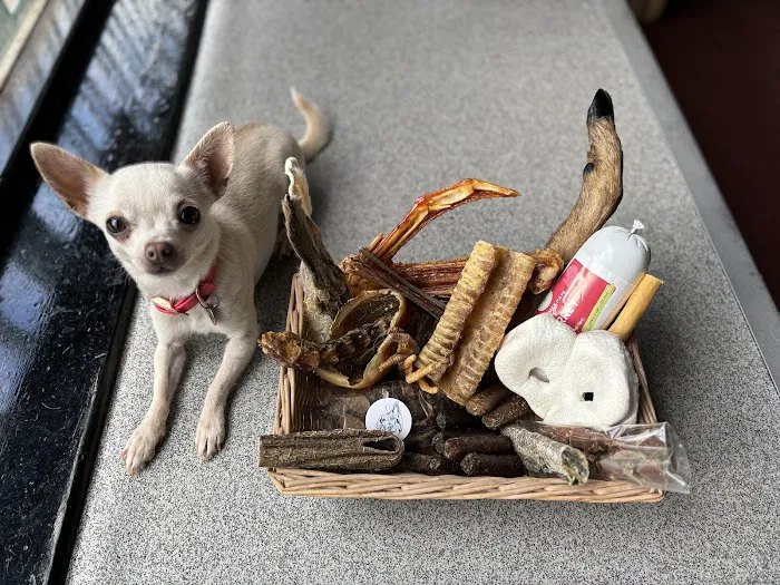 Coyle and Ives Canines Picture 1