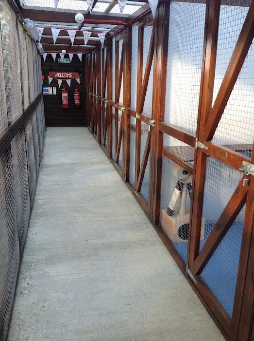 Woodside Pet Care Picture 3