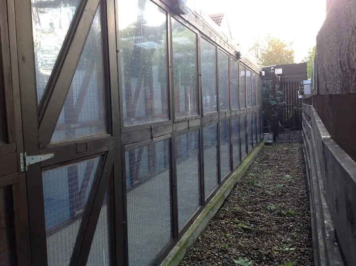 Woodside Pet Care Picture 5