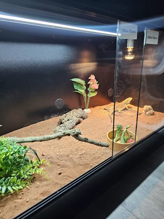 The Exotics Hub Picture 1