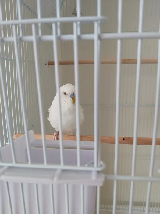 P&J Pet Superstore Picture 1