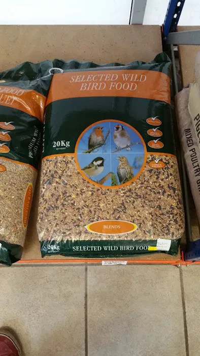 P&J Pet Superstore Picture 4