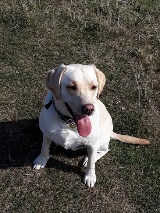 P&J Pet Superstore Picture 8