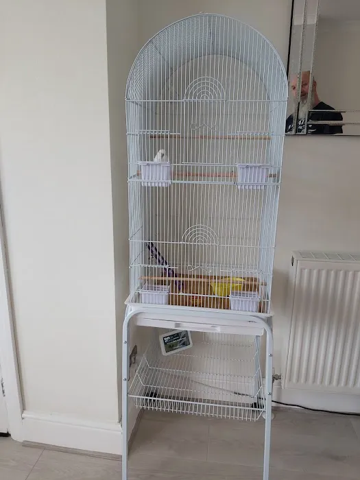 P&J Pet Superstore Picture 7