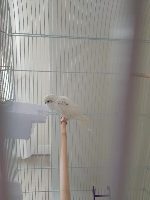 P&J Pet Superstore Picture 10