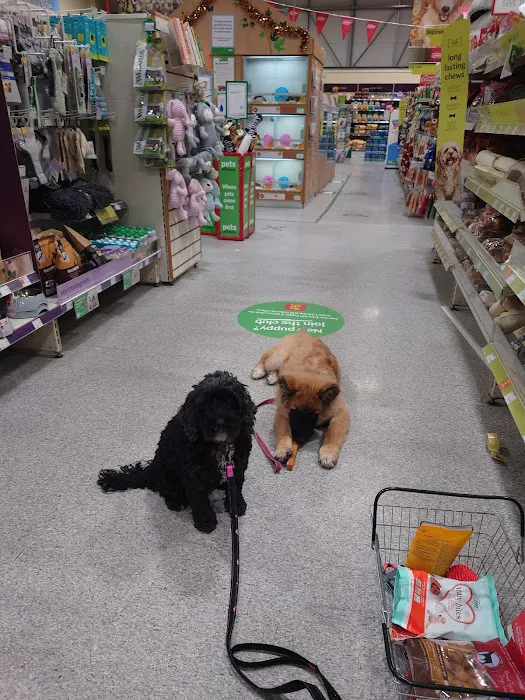 Pets at Home Hull Junction Picture 3
