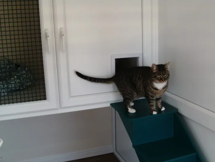 The Cozy Cat Retreat Picture 6