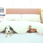 Portland House Veterinary Group