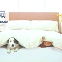 Portland House Veterinary Group ico