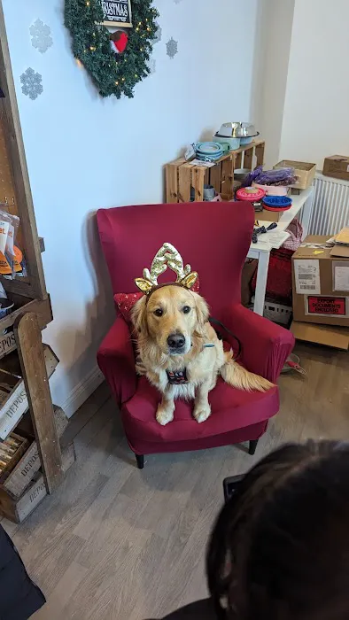 The Lancashire Dog Company Picture 1