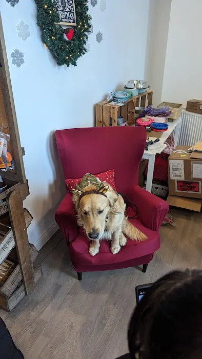 The Lancashire Dog Company Picture 7