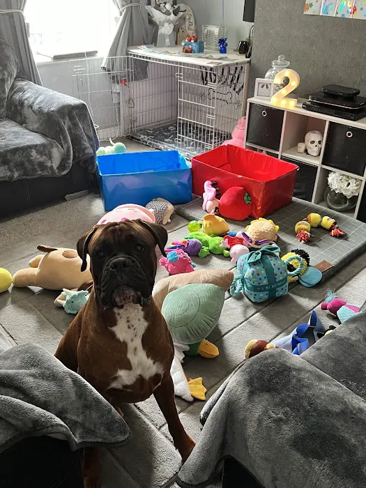 The Lancashire Dog Company Picture 5