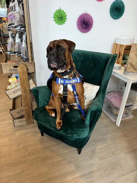 The Lancashire Dog Company Picture 8