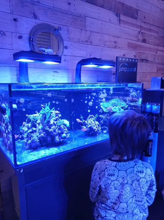 Kraken Corals Limited Picture 4