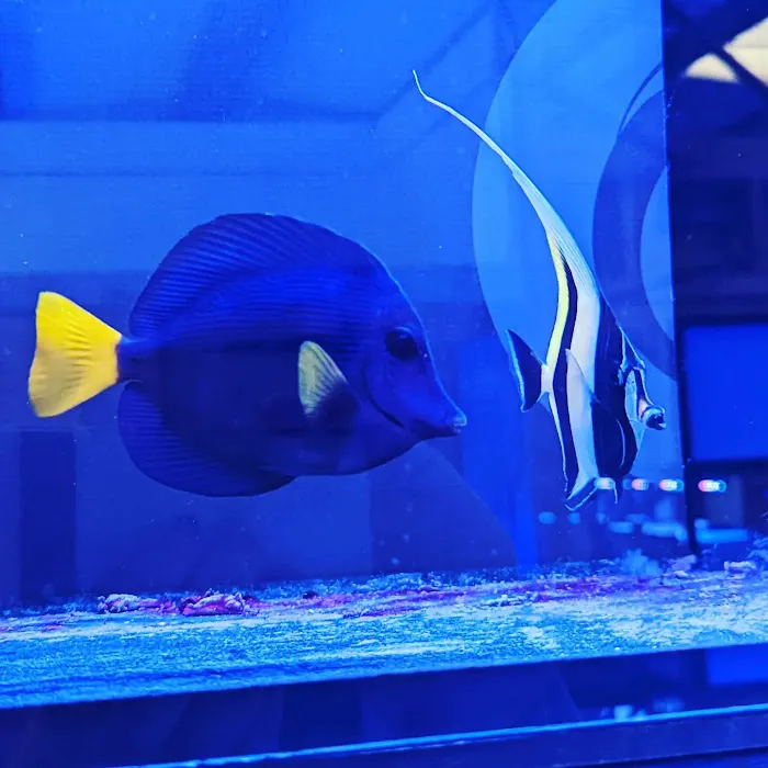 Kraken Corals Limited Picture 6