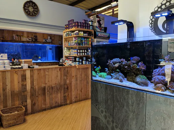 Kraken Corals Limited Picture 5