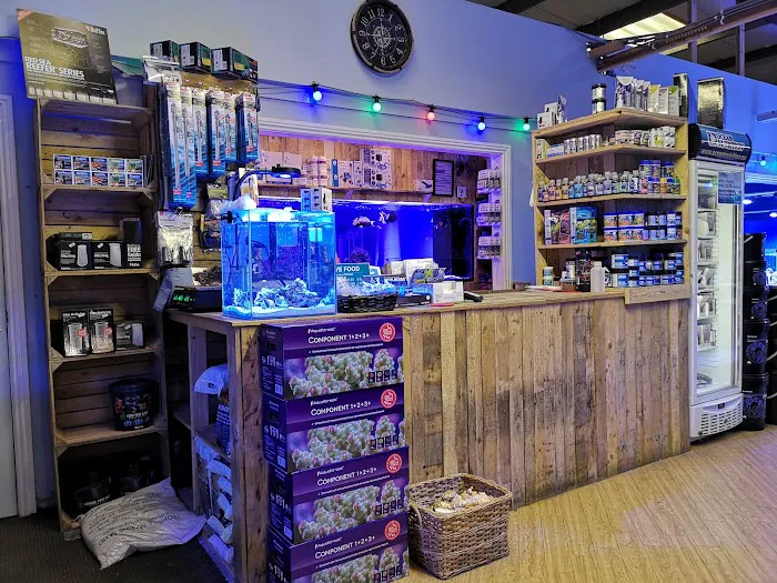 Kraken Corals Limited Picture 8