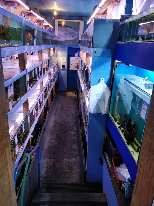 Barlows Aquatic Trading Picture 1