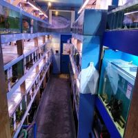 Barlows Aquatic Trading ico