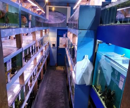 Barlows Aquatic Trading