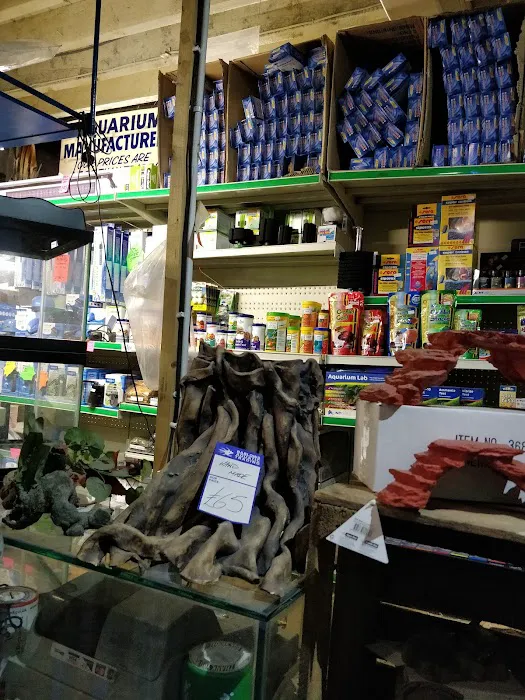 Barlows Aquatic Trading Picture 6