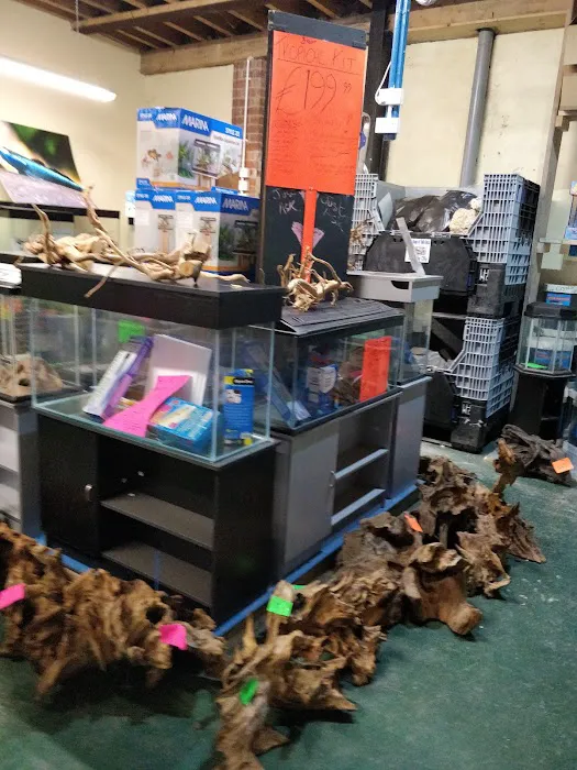 Barlows Aquatic Trading Picture 10