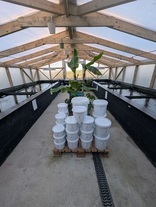 The Koi Place Picture 3