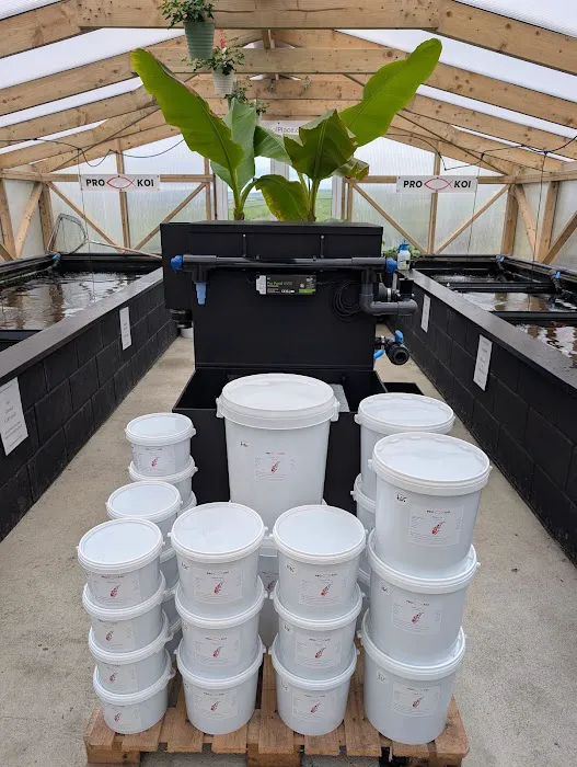 The Koi Place Picture 4