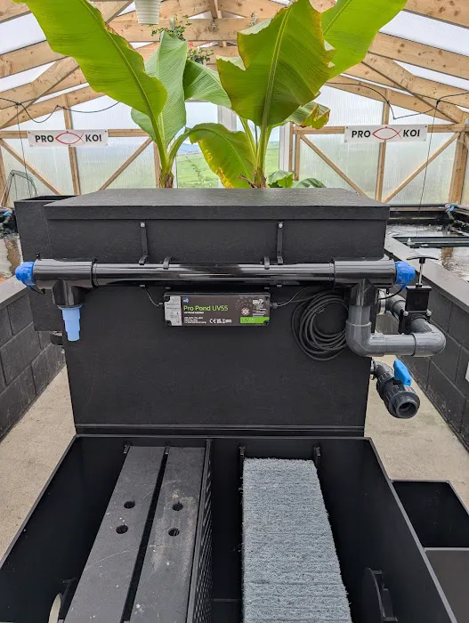 The Koi Place Picture 5