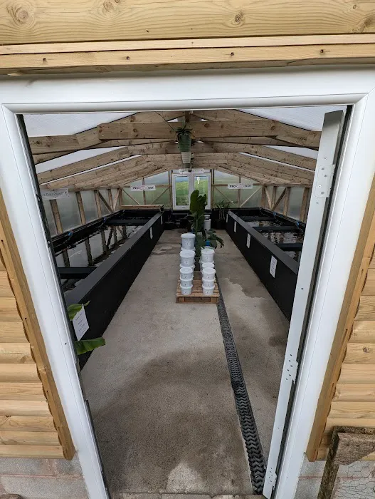 The Koi Place Picture 8