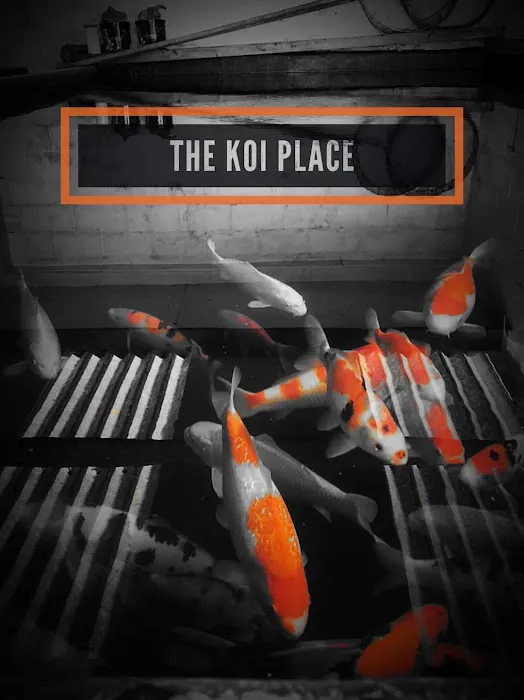 The Koi Place Picture 10