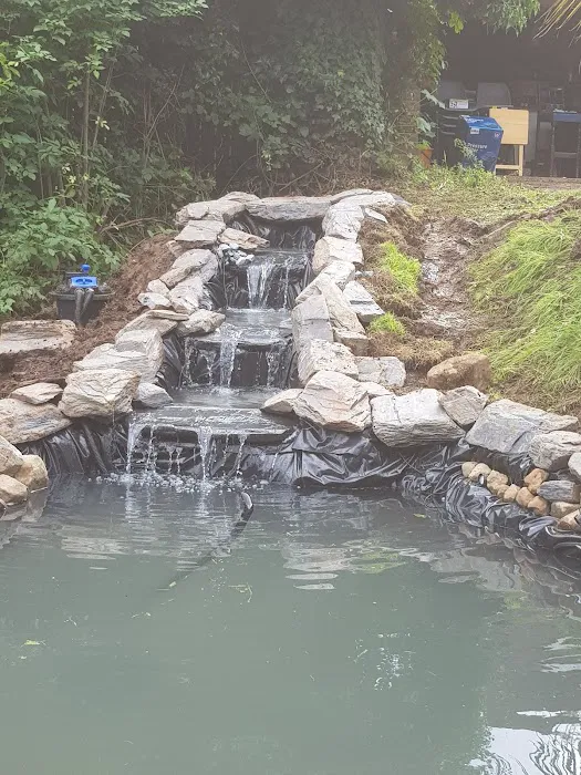 Manta Rea Aquatics Ltd Picture 1