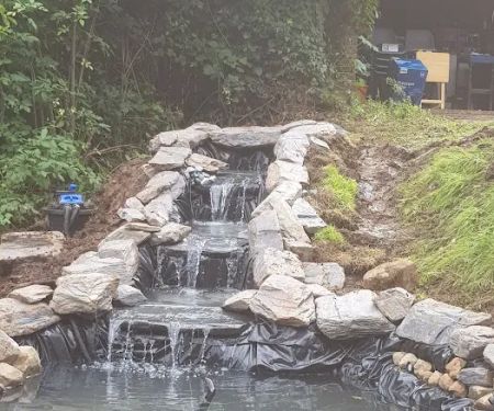 Manta Rea Aquatics Ltd