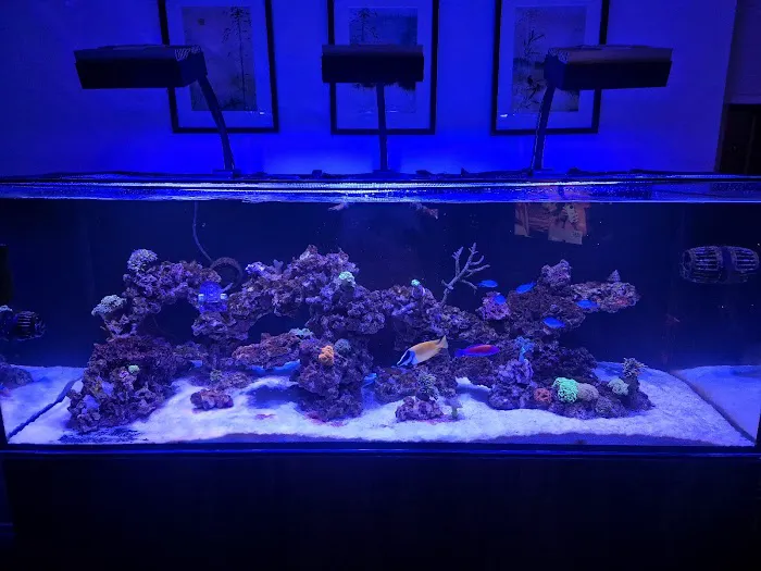 Manta Rea Aquatics Ltd Picture 3