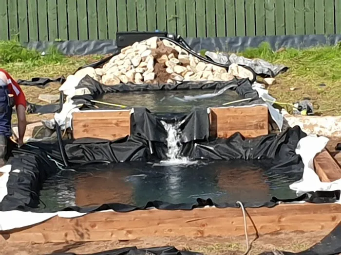 Manta Rea Aquatics Ltd Picture 5