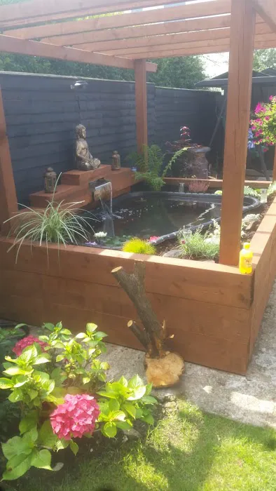 Manta Rea Aquatics Ltd Picture 6