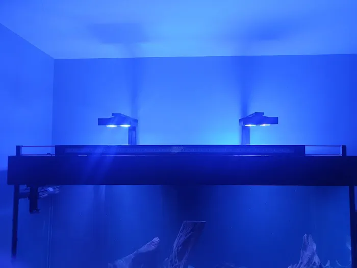 Manta Rea Aquatics Ltd Picture 4